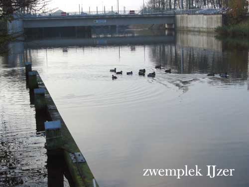 zwemplek IJzer